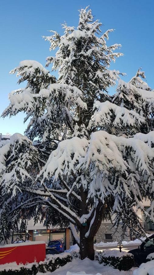 Locanda Ai Dogi Pieve di Cadore Kültér fotó