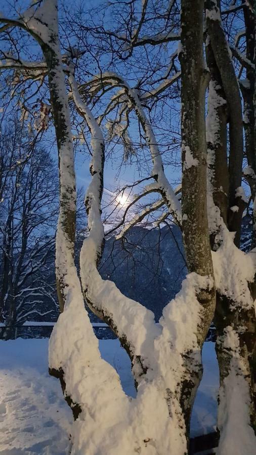 Locanda Ai Dogi Pieve di Cadore Kültér fotó